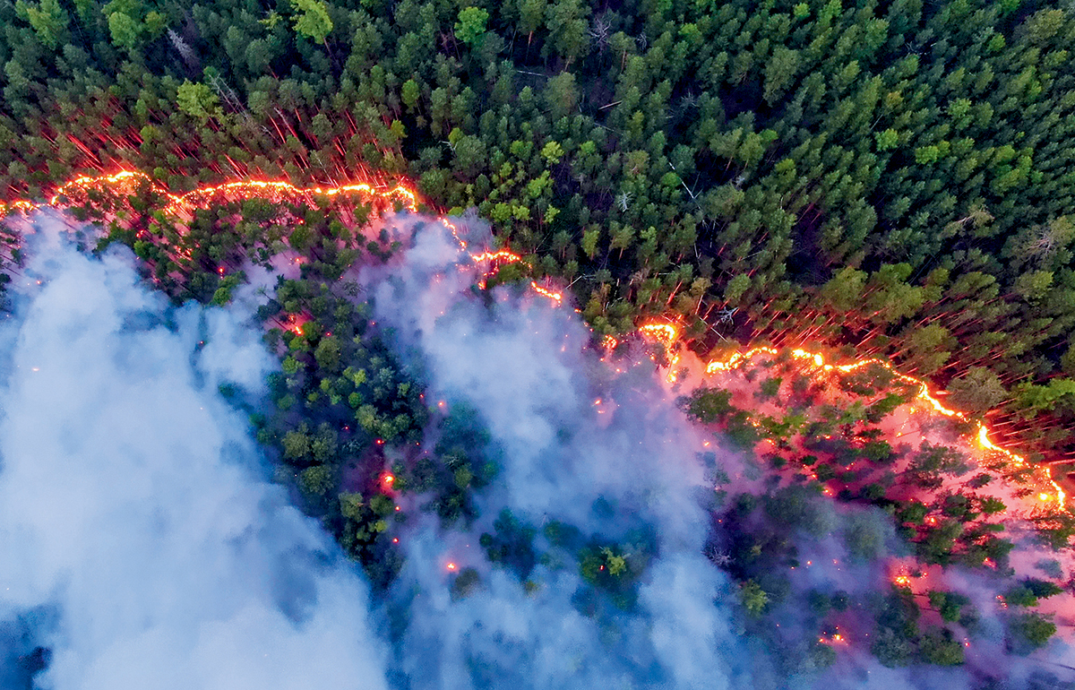 With climate change melting the permafrost in Russia, forest fires rage in Siberia.