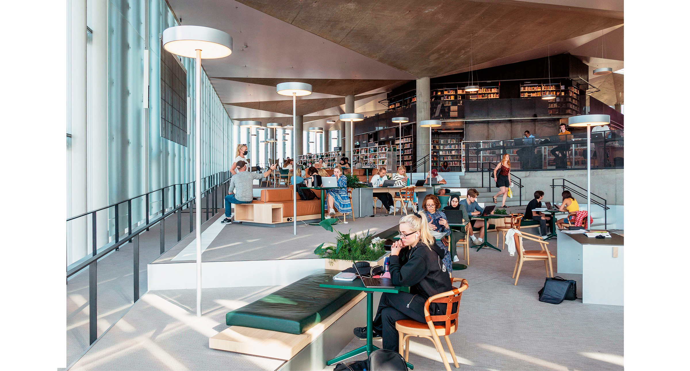 Magne Mogstad Salvane Skjell Torsvik Gaute Norway Equality 5