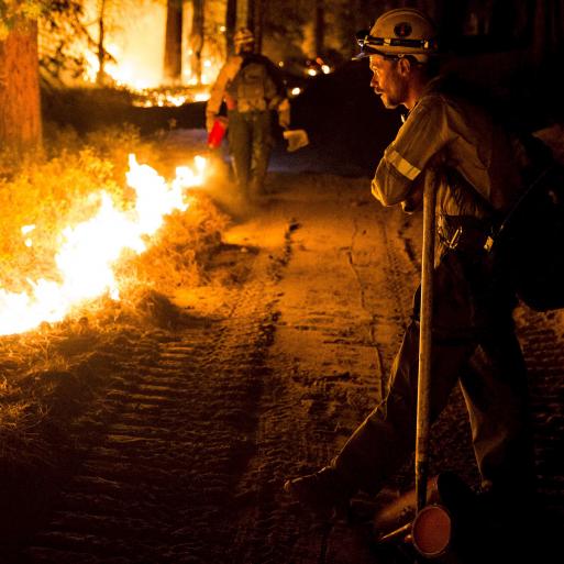 The Irony of a Forest Burn Ban