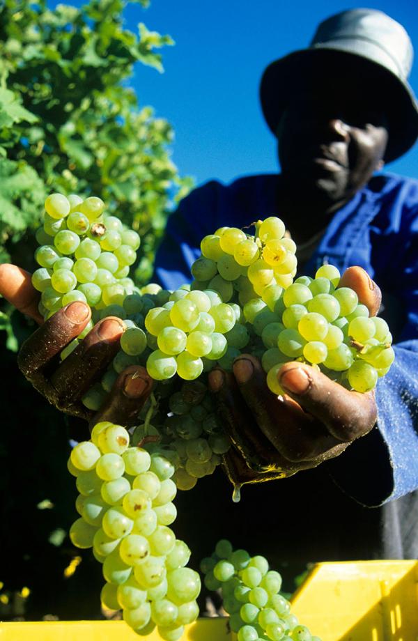 african growth