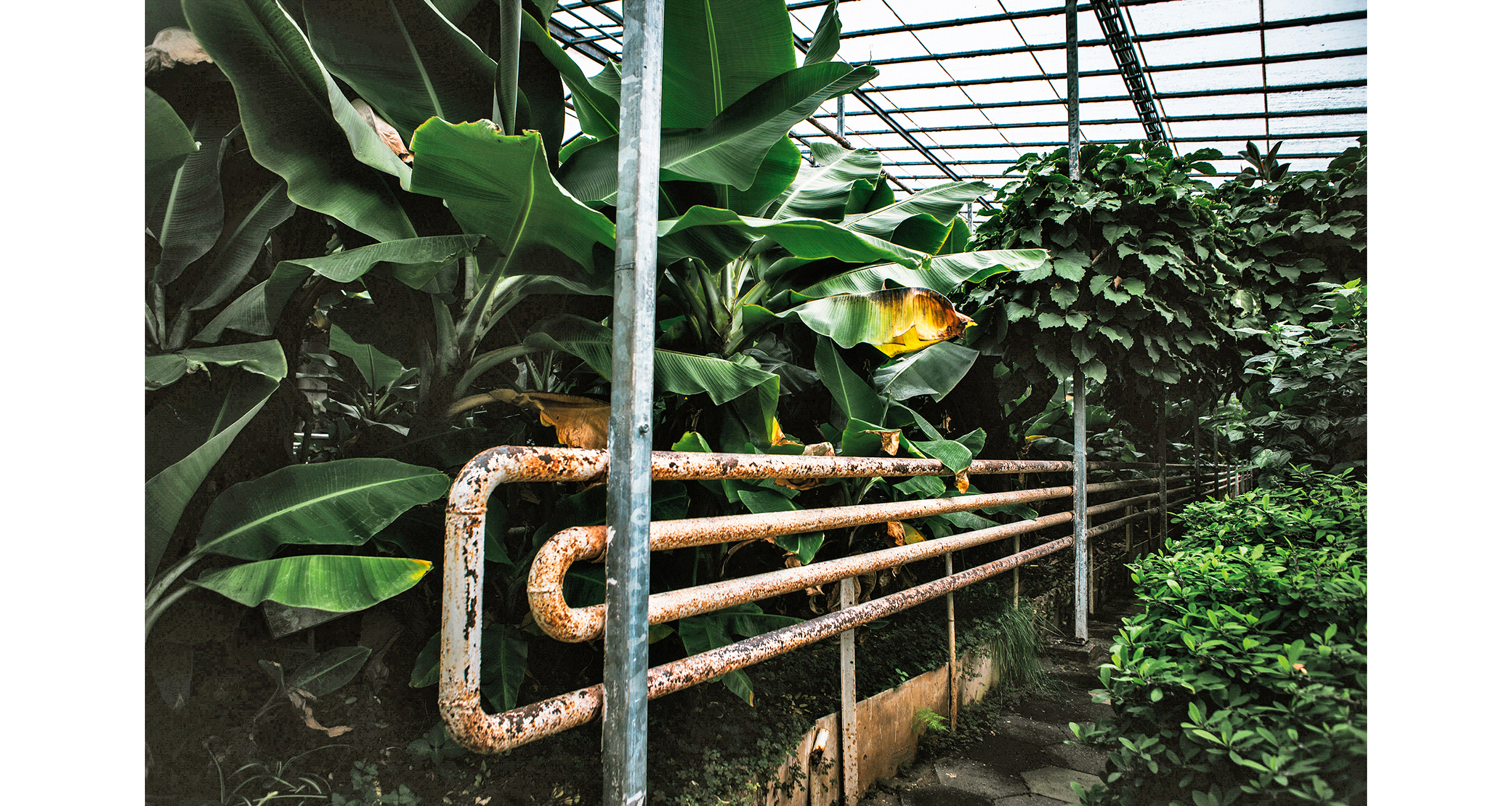 gernot wagner geothermal opportunity 7