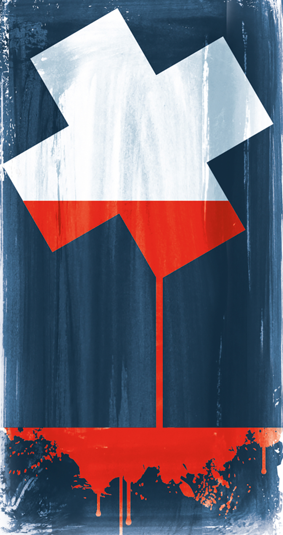 haeder simon f health care mess 2