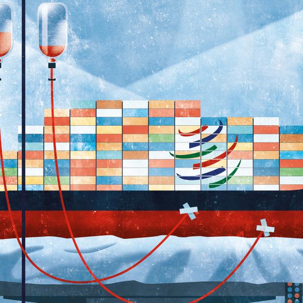 Irwin Douglas Mavroidis Petros WTO On Life Support 1