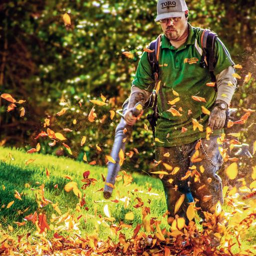 Do We Really Need to License Your Lawncare Guy?