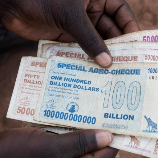 Zimbabwe’s New Currency